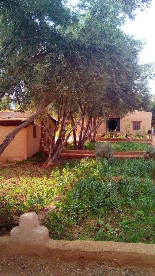 Eco-Ferme Tamalait Skoura Hotel Exterior foto